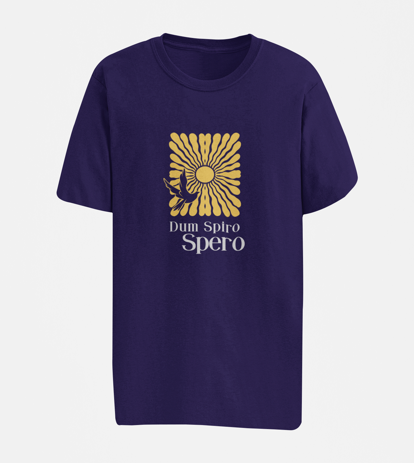 Dum Spiro, Spero Oversize T-shirt
