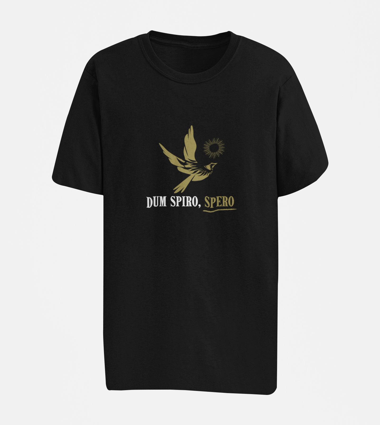 Dum Spiro, Spero Oversize T-shirt