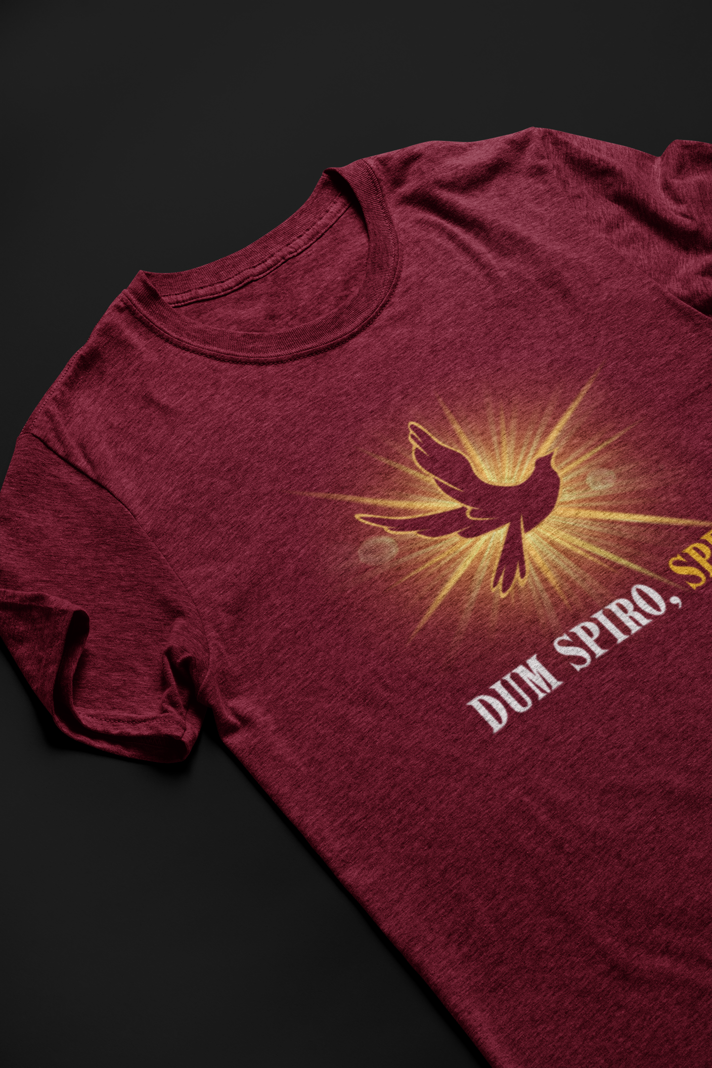 Dum Spiro, Spero Short Sleeve T-shirt