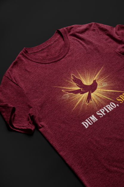Dum Spiro, Spero Short Sleeve T-shirt